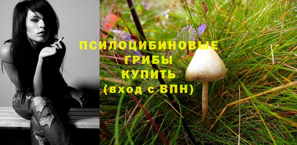 хмурый Арсеньев