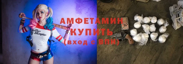 хмурый Арсеньев