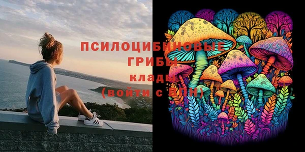 спиды Армянск