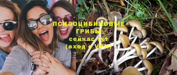 спиды Армянск
