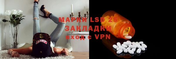 хмурый Арсеньев