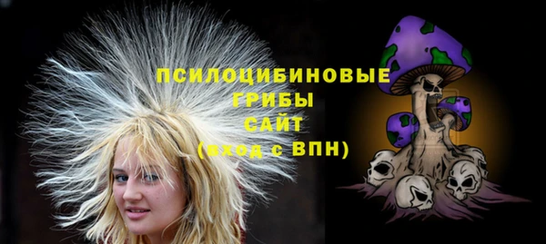 хмурый Арсеньев