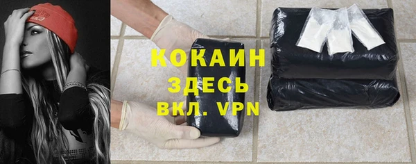 хмурый Арсеньев